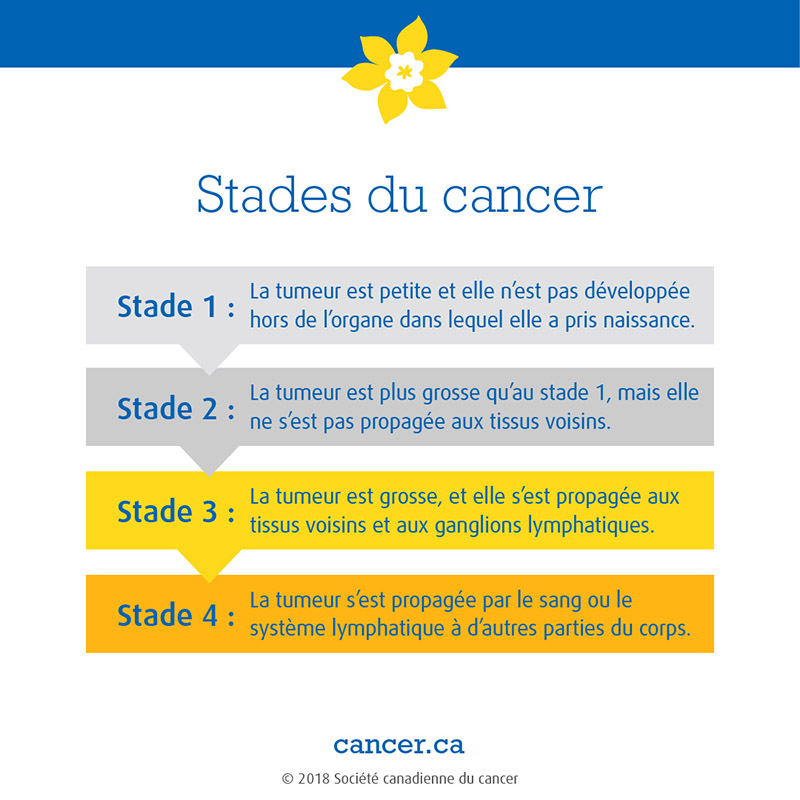 Stades Du Cancer – Paroconseil