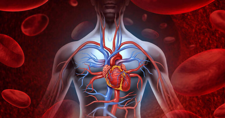 Le corps humain et les maladies parodontales