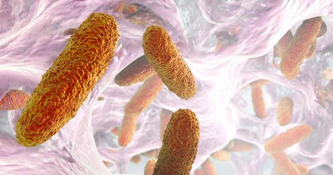 La gestion du biofilm